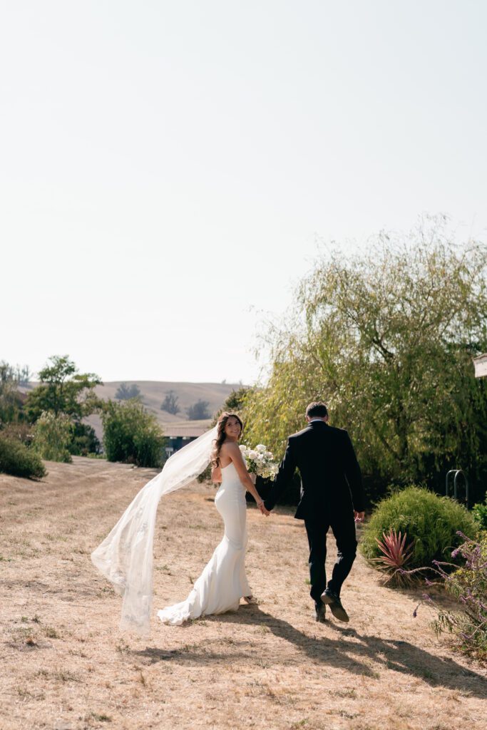 olympias valley estate in petaluma california, wedding photography by alyssa gayle photography based in san francisco california and traveling worldwide