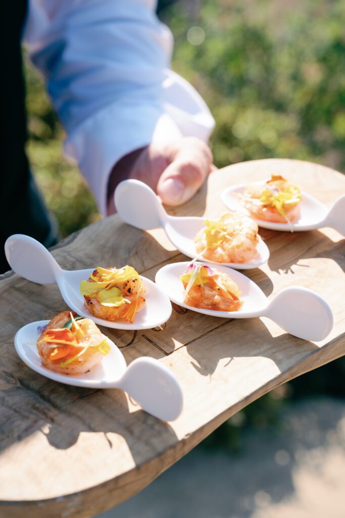 olympias valley estate in petaluma california, wedding photography by alyssa gayle photography based in san francisco california and traveling worldwide cocktail hour