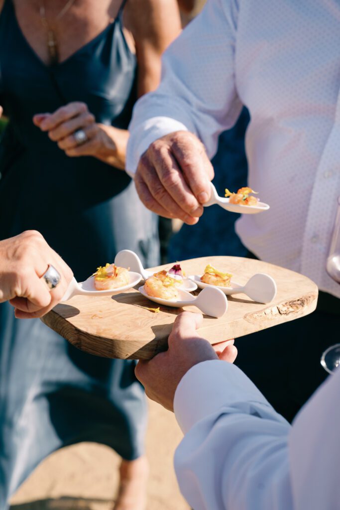 olympias valley estate in petaluma california, wedding photography by alyssa gayle photography based in san francisco california and traveling worldwide cocktail hour