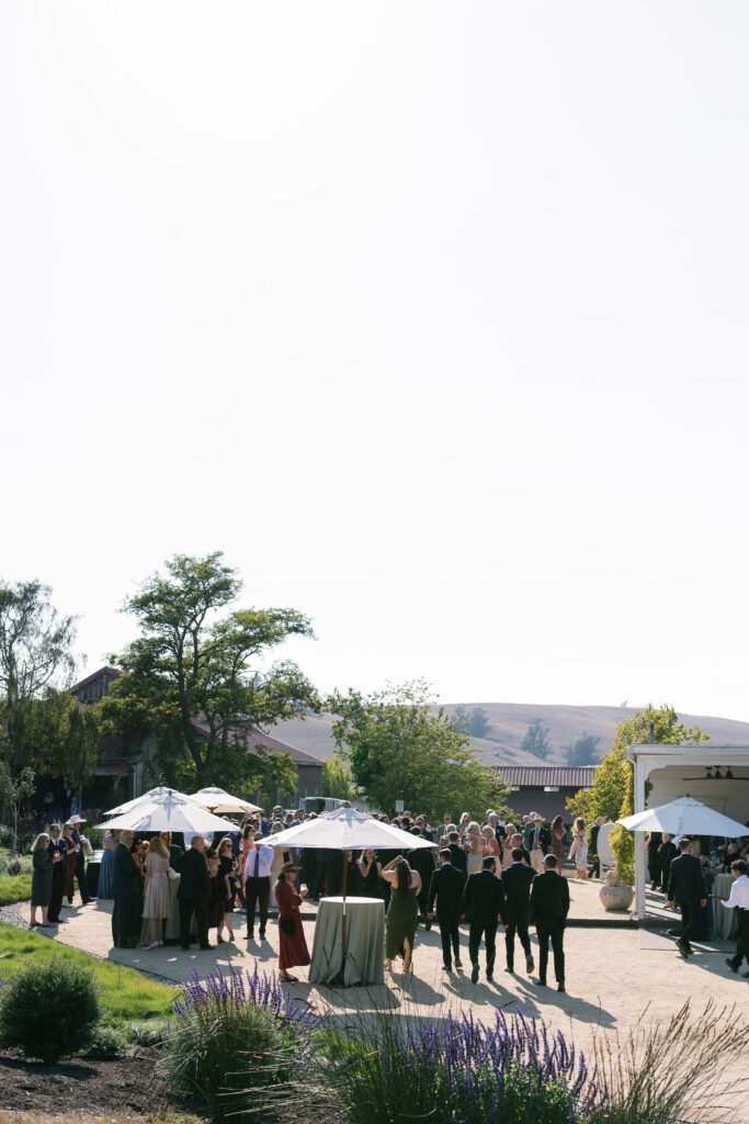 olympias valley estate in petaluma california, wedding photography by alyssa gayle photography based in san francisco california and traveling worldwide