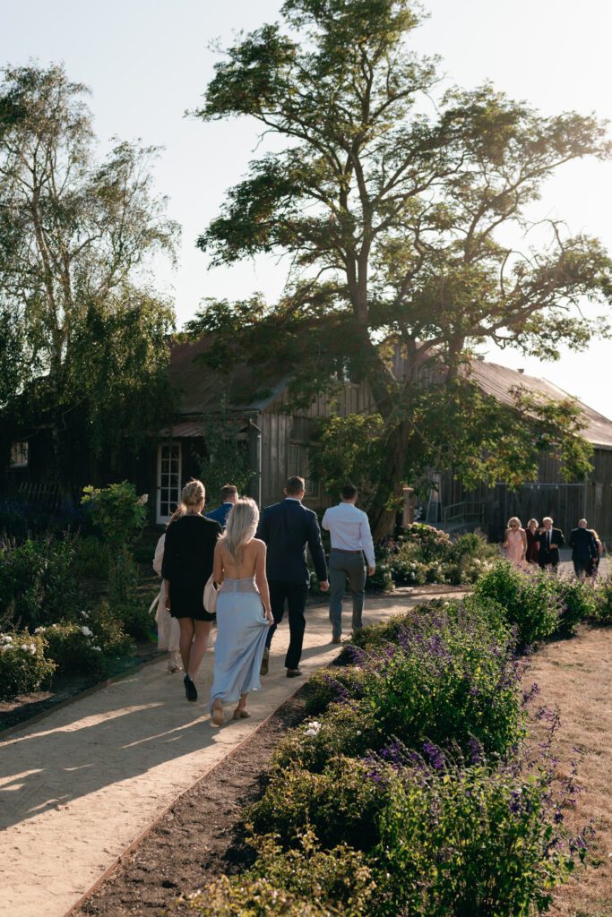 olympias valley estate in petaluma california, wedding photography by alyssa gayle photography based in san francisco california and traveling worldwide