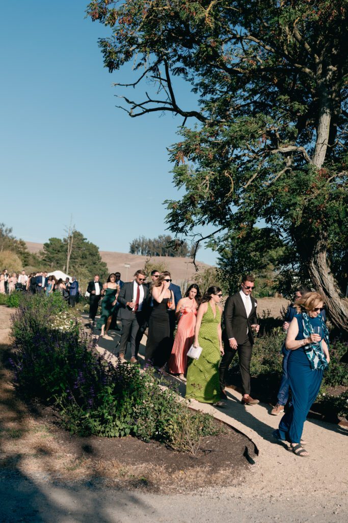 olympias valley estate in petaluma california, wedding photography by alyssa gayle photography based in san francisco california and traveling worldwide