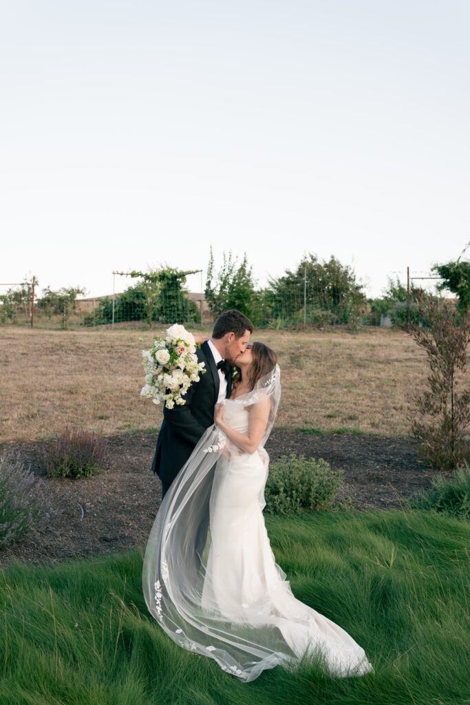 bride and groom portraits during golden hour olympias valley estate in petaluma california, wedding photography by alyssa gayle photography based in san francisco california and traveling worldwide