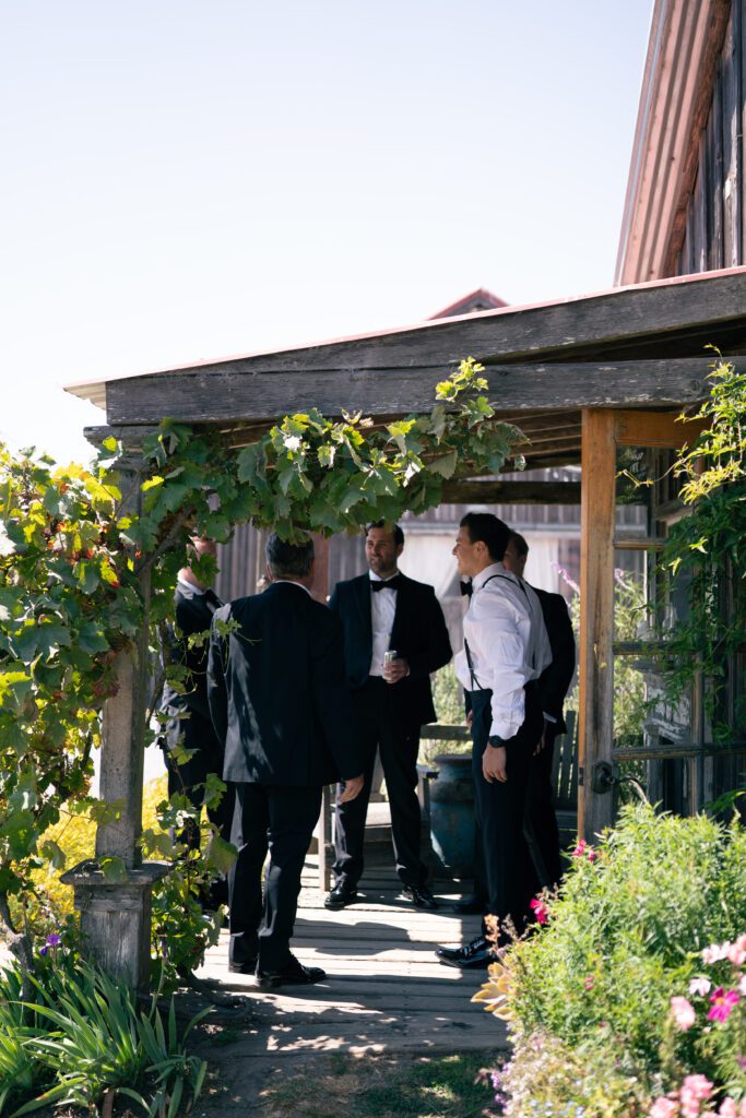 groomsmen off guard chatting it up before the wedding begins in the cottage olympias valley estate in petaluma california, wedding photography by alyssa gayle photography based in san francisco california and traveling worldwide