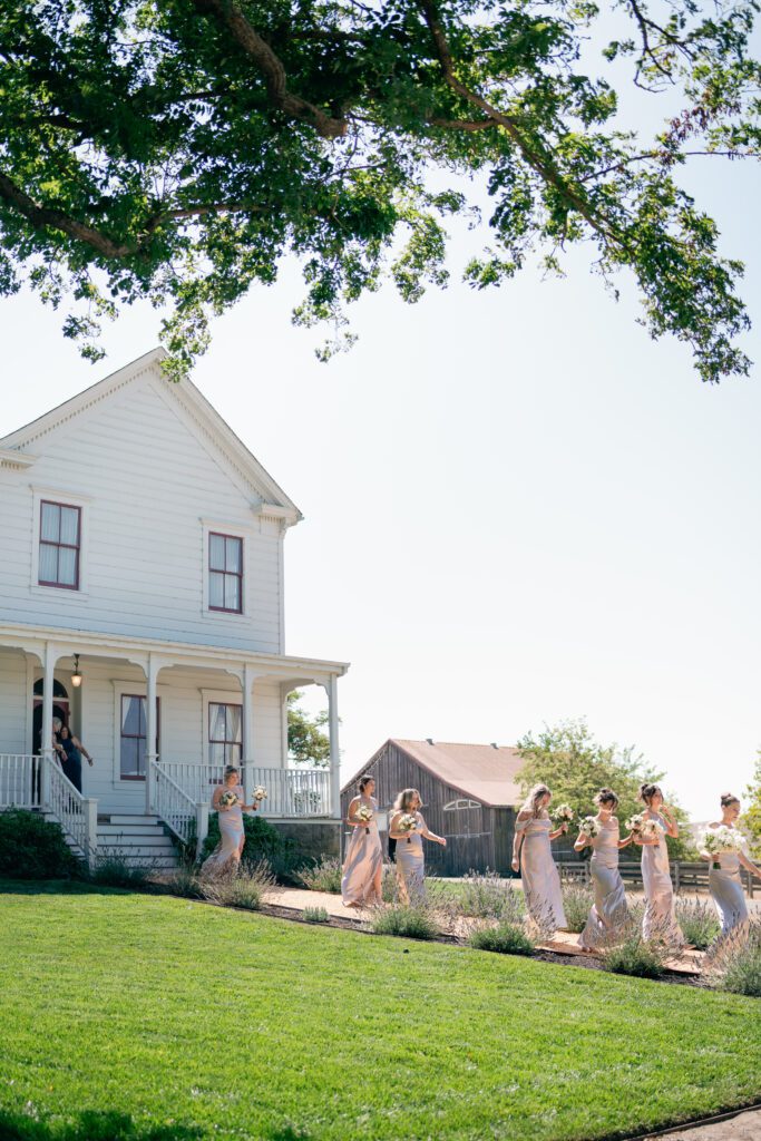 bridesmaids walking photo olympias valley estate in petaluma california, wedding photography by alyssa gayle photography based in san francisco california and traveling worldwide