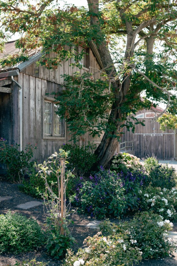 olympias valley estate cottage / alyssa gayle photography