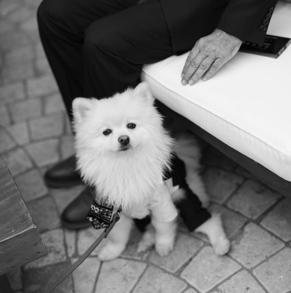 Spring wedding floral arrangement at Jacuzzi Winery featuring pastel garden roses
